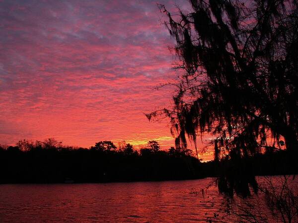 Sunrise Poster featuring the photograph Intense Sunrise by Karen Stansberry