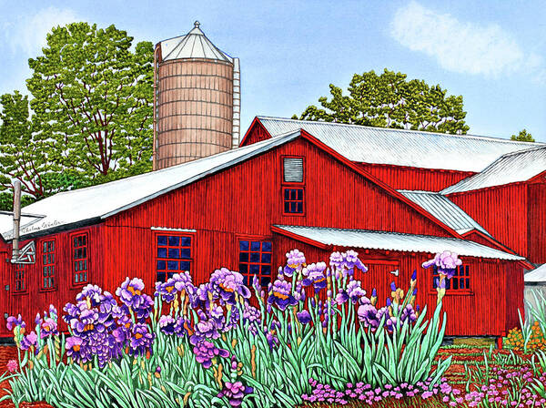 Purple Irises Growing In Front Of A Red Barn Poster featuring the painting Iris Garden by Thelma Winter