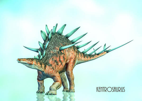 Kentrosaurus Poster featuring the digital art Kentrosaurus by Bob Orsillo
