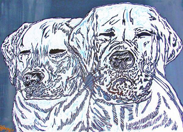 Prints Poster featuring the painting Labrador squinch off by Barbara Donovan