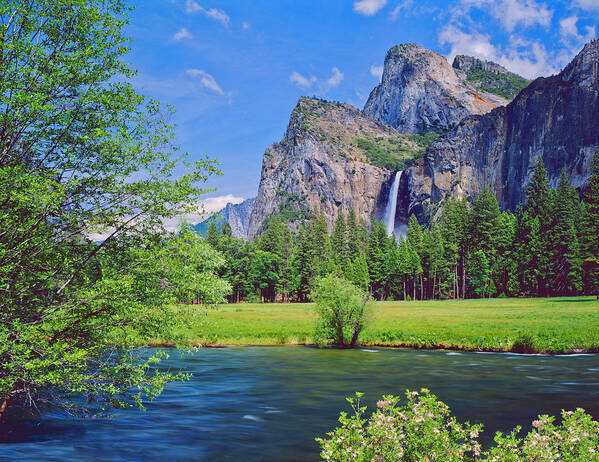 Scenics Poster featuring the photograph Lakeside View Of Yosemite National Park by Ron thomas