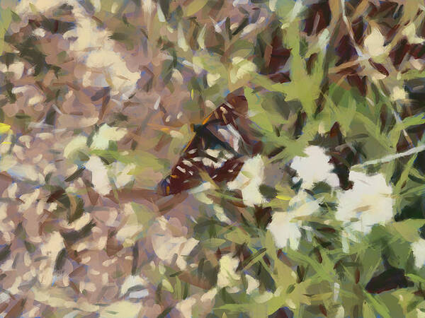 Butterfly Poster featuring the digital art Little Butterfly by Bernie Sirelson