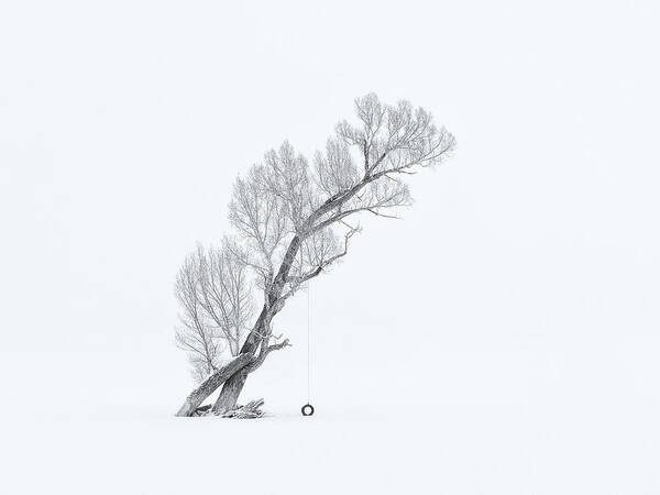 Blackwhite Poster featuring the photograph Lone Tree In Winter (black/white) by Mei Xu