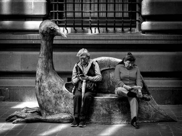 Couple
Sitting
Indifference
Loneliness
Incommunication
Fantastic
Sculpture
Bench
Mexico Poster featuring the photograph Loneliness Chronicles by Manuel Gayoso