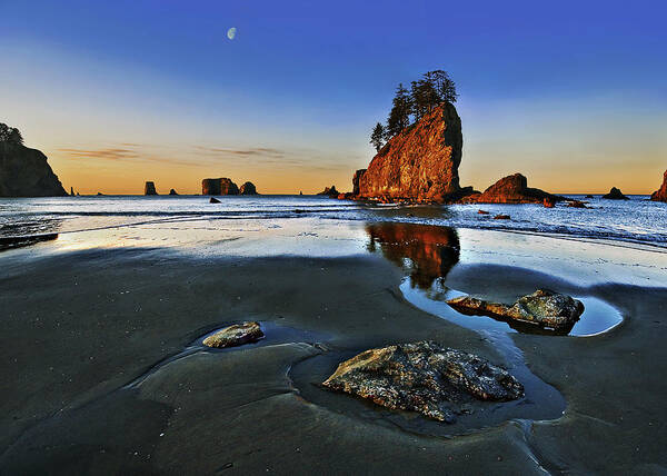 Water Poster featuring the photograph Morning Low Tide at Second Beach by John Christopher