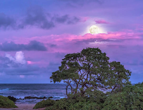 Hawaii Poster featuring the photograph Moon Rise on Sandy Beach in Color by Betty Eich