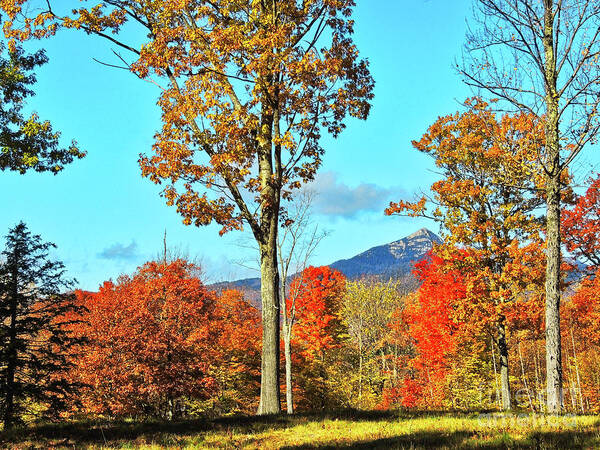 Chocorua Poster featuring the photograph Mt Chocorua - On the way Home by Mim White