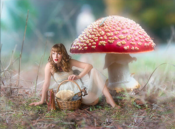 Mushroom Poster featuring the photograph Mushroom Picker by Derek Galon