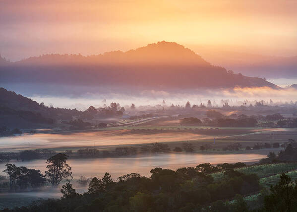  Poster featuring the photograph Napa Valley At Dawn by Ryan Li