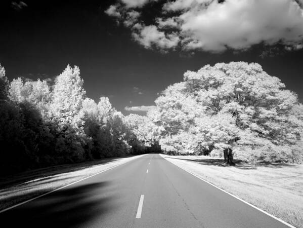 Scenery Poster featuring the painting Natchez Trace Parkway, Mississippi by 