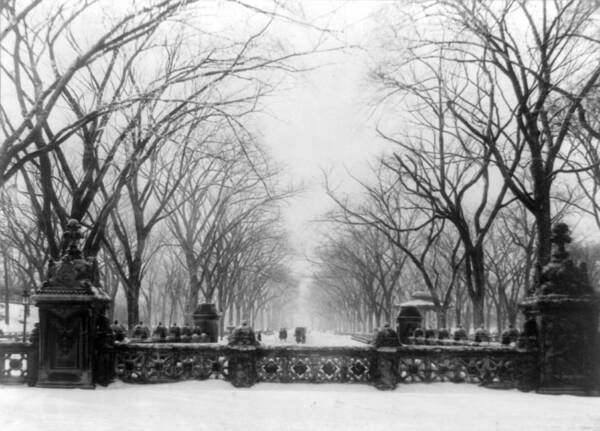 1906 Poster featuring the photograph Nyc, Central Park, 1906 by Science Source