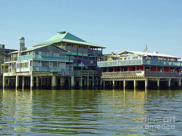 Cedar Key Poster featuring the photograph On The Waterfront by D Hackett