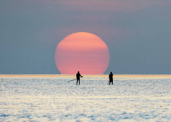 Sunrise Poster featuring the photograph Sunrise Paddle Boarding by Steven Sparks