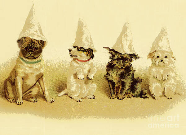 Dog Dogs Party Hats Party Party Animal Animals Canine Dog Hats Cute Funny Party Dogs Pups Party Pups Puppy Puppies Poster featuring the mixed media Party Dogs by Tammera Malicki-Wong