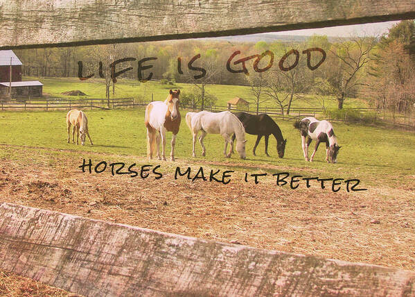 Barn Poster featuring the photograph PASTURE FRIENDS quote by Dressage Design