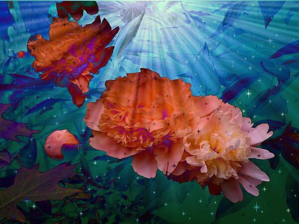 Peony Floral Poster featuring the photograph Peonies Under Water by Mike McBrayer