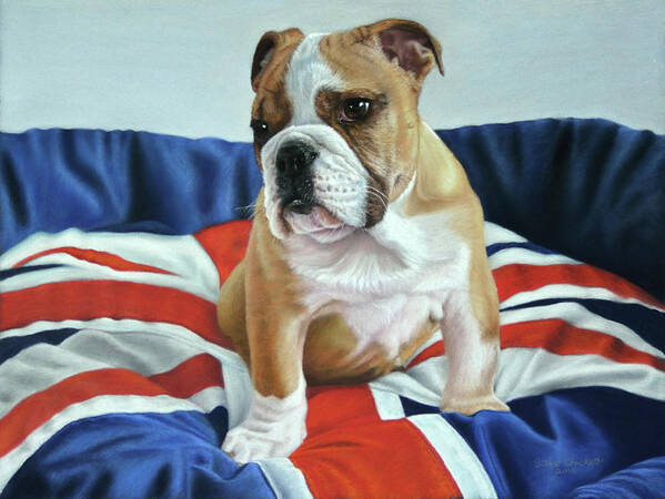 Pet Portrait Of Winston The British Bulldog Poster featuring the painting Pet Portrait Of Winston The British Bulldog by Steve Crockett