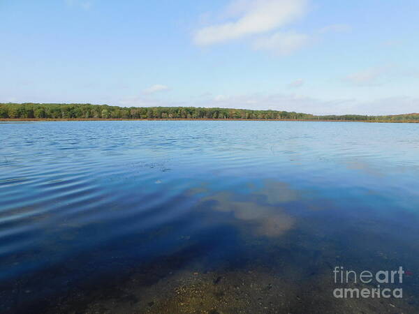 Poconos Country Lake Poster featuring the photograph Poconos Country Lake by Barbra Telfer