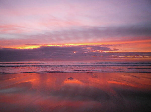 Pink Poster featuring the photograph Purple And Rose Gold Sunset Sandymouth Cornwall by Richard Brookes