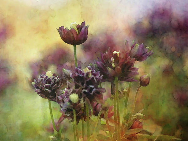 Impressionist Poster featuring the photograph Purple Damsels 6480 IDP_2 by Steven Ward