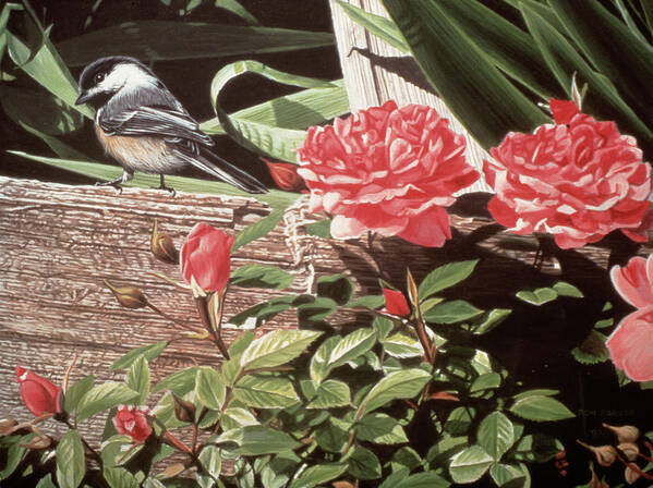 A Bird Perched On Rail Fence With Red Roses Growing Next To It Poster featuring the painting Rail Fence And Roses by Ron Parker