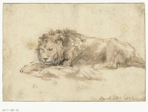 Lion Poster featuring the painting Reclining lion, Rembrandt Harmensz. van Rijn, 1650 - 1659 by Rembrandt Harmensz
