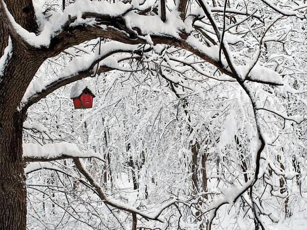 Birdhouse Poster featuring the digital art Red Birdhouse by R Allen Swezey