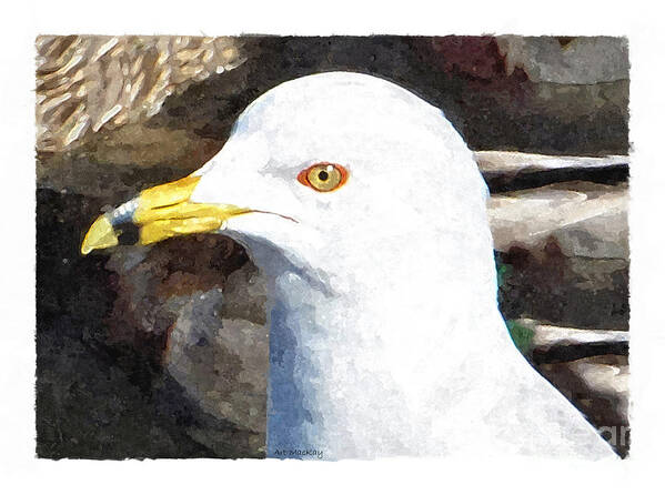 Birds Poster featuring the digital art Ringbilled Gull Portrait by Art MacKay