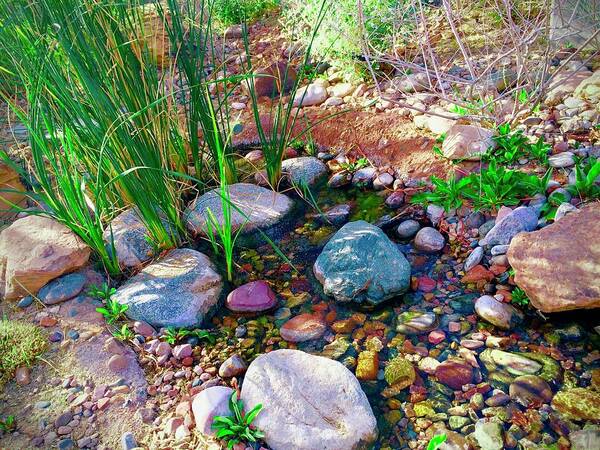 Rocks And Reeds Poster featuring the photograph Rocks and Reeds Too by Debra Grace Addison