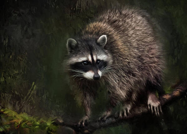 Raccoon Poster featuring the painting Rocky Raccoon by Jeanette Mahoney