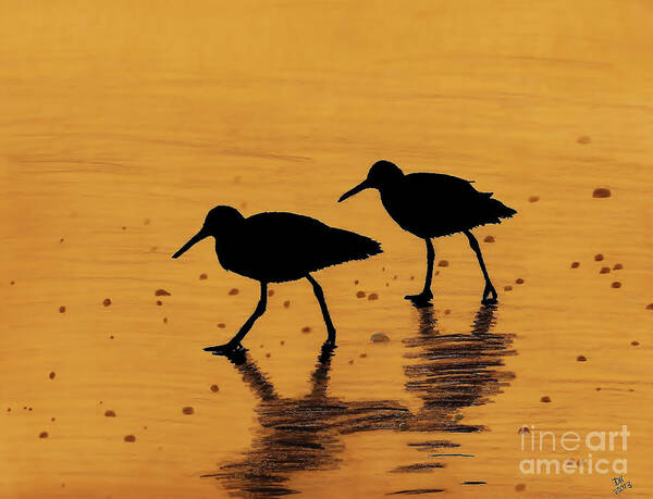 Sunrise Poster featuring the drawing Sandpipers - At - Sunrise by D Hackett