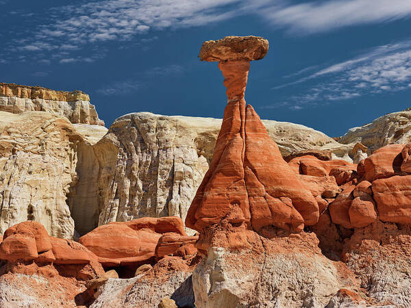 Balance Poster featuring the photograph Sandstone Erosion by Leland D Howard