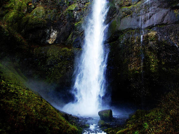 Waterfall Poster featuring the photograph Silver Falls Waterfall 1 by Melinda Firestone-White