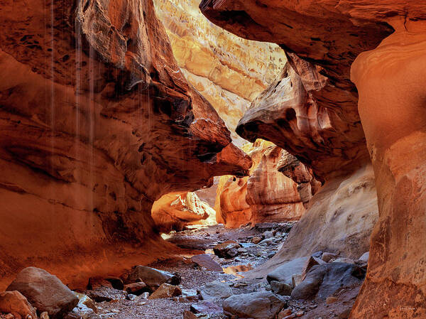 Canyon Poster featuring the photograph Slot Canyon Forms and Light by Leland D Howard