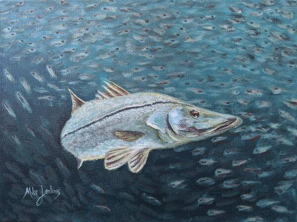 Snook Poster featuring the painting Snook Feeding by Mike Jenkins