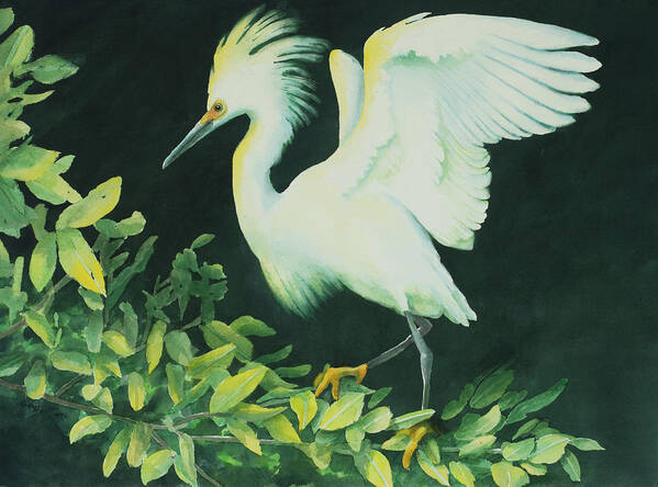 2018 Poster featuring the painting Snowy Egret by George Harth