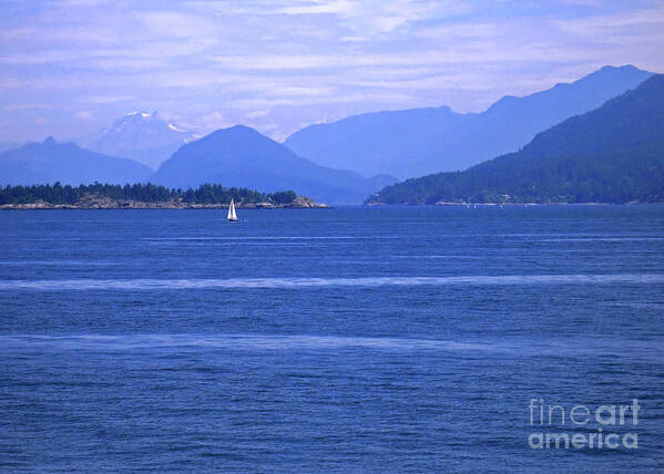 Sailboat Poster featuring the photograph Solitary Sailing by Ann Horn
