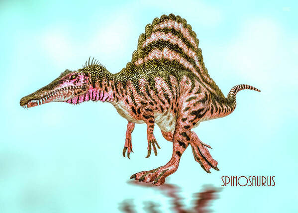 Spinosaurus Poster featuring the digital art Spinosaurus by Bob Orsillo