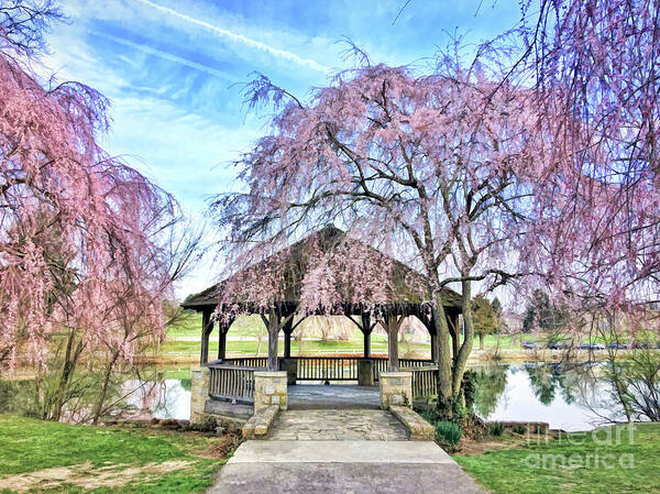 Spring Poster featuring the photograph Spring Blooms at the Duck Pond by Kerri Farley