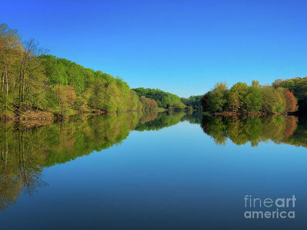 Needwood Poster featuring the photograph Spring reflection by Izet Kapetanovic