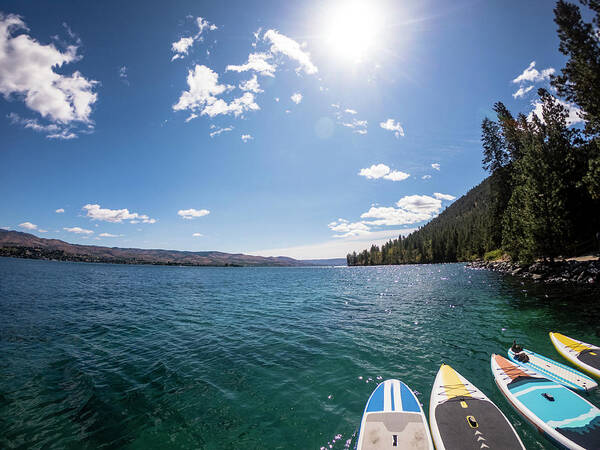 Sup Poster featuring the photograph Stand Up Paddle Boards Lined Up At Lake On Sunny Day In Chelan, Wa by Cavan Images