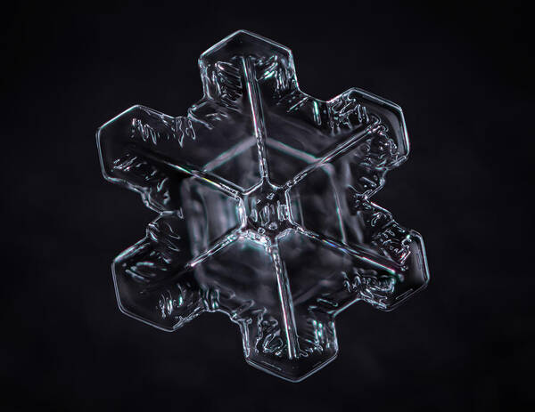 Snowflakes Poster featuring the photograph Stellar Plate Snowflake by Brian Caldwell