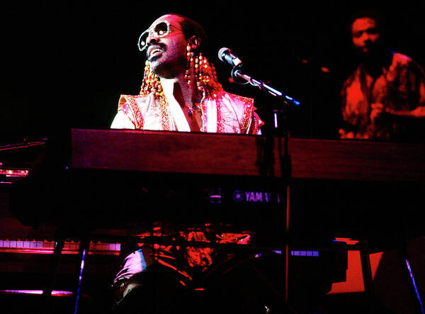 Music Poster featuring the photograph Stevie Wonder In Concert by Rick Diamond