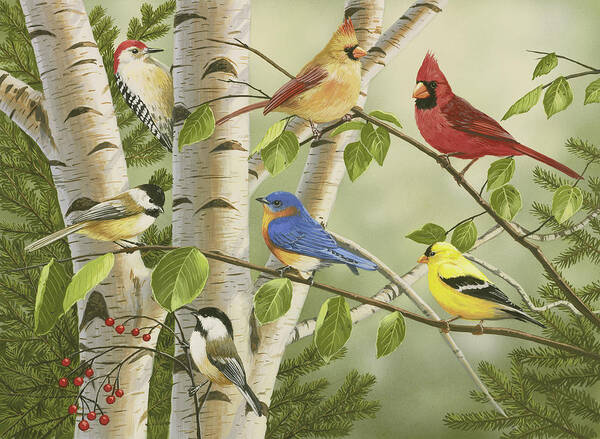 Birds Poster featuring the painting Summer Friends by William Vanderdasson