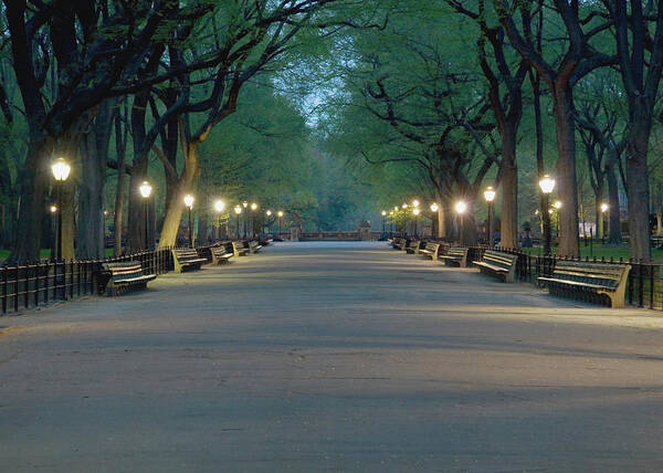 Central Park Poster featuring the photograph The Mall In Central Park by Urbanglimpses