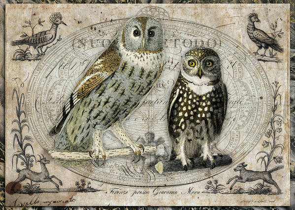  Poster featuring the digital art The Two Hoots by Terry Kirkland Cook