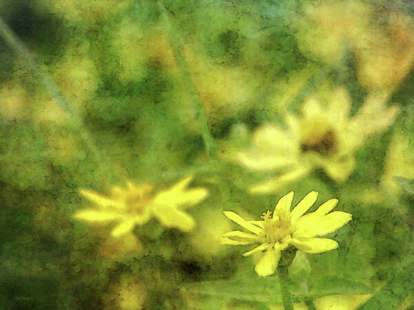 Impressionist Poster featuring the photograph Thinking of Yellow 4620 IDP_2 by Steven Ward