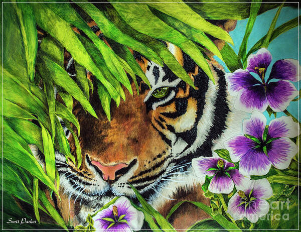 Tiger Poster featuring the drawing Tiger Lily by Scott Parker