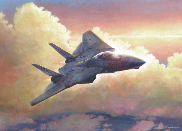 Aviation Poster featuring the painting Tomcat by Douglas Castleman