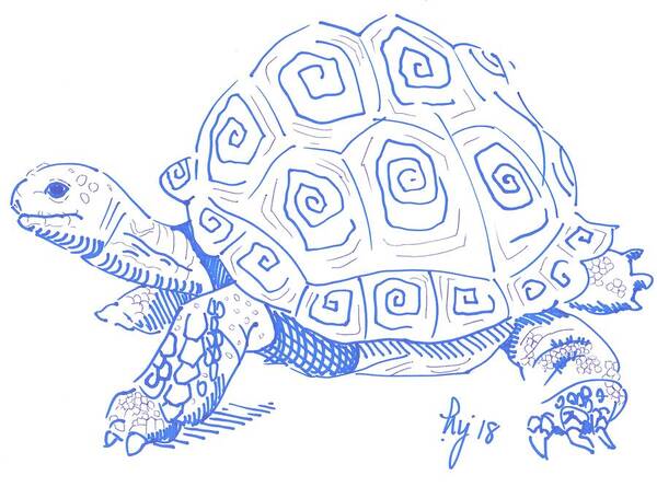  Poster featuring the drawing Tortoise drawing by Mike Jory